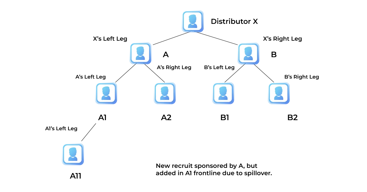 Binary Plan Structure